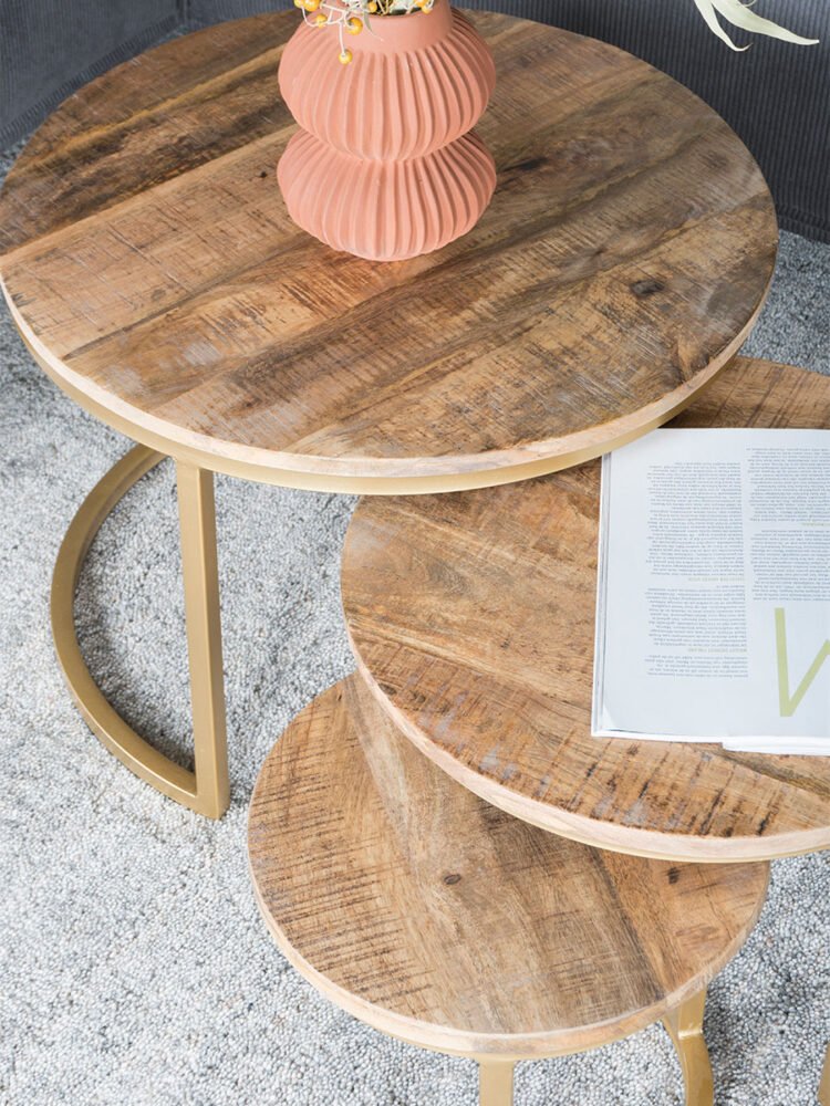 Salontafel Set van 3 - Industriële Salontafelset Erjan - Goud