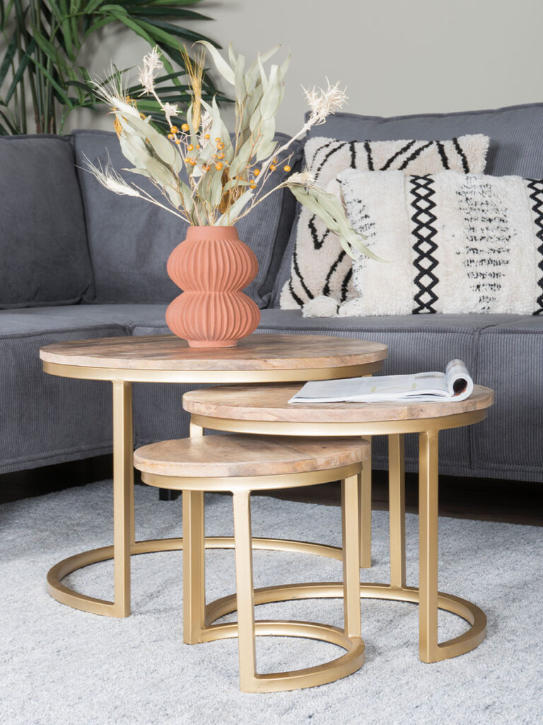 Salontafel Set van 3 - Industriële Salontafelset Erjan - Goud
