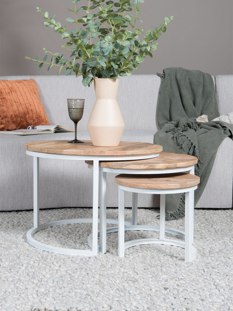 Salontafel Set van 3 - Industriële Salontafelset Erjan - Wit
