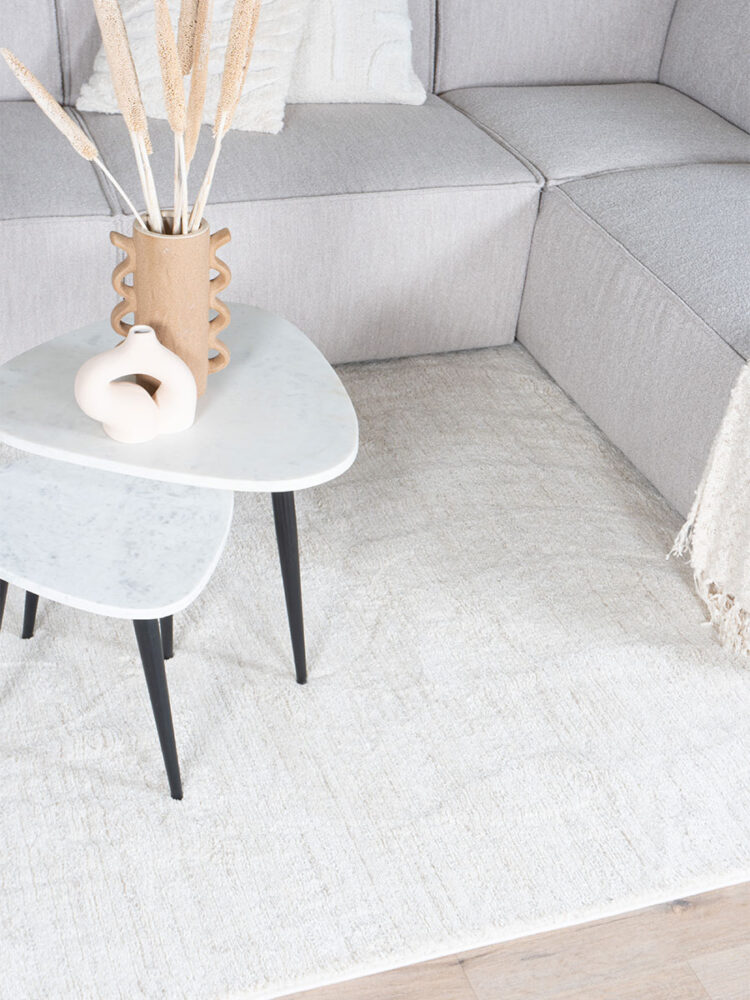 Vloerkleed Nina 1601 - 80 x 150 cm