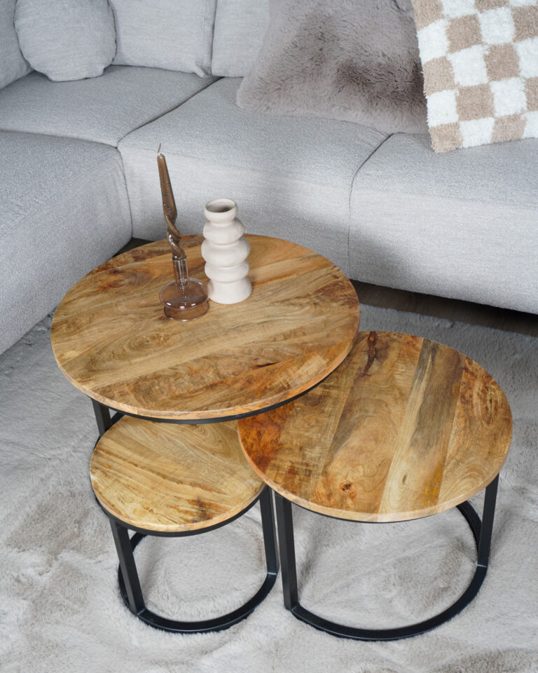 Salontafel Set van 3 - Industriële Salontafelset Erjan - Mangohout